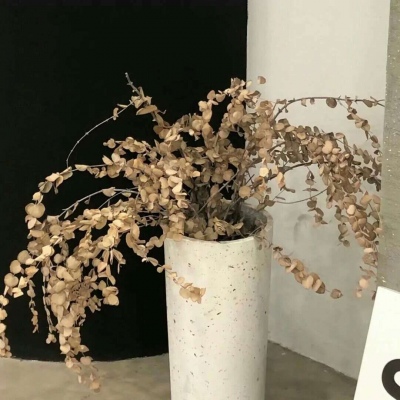 宣州福瑞交流群